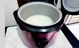 Read more about the article Alat Masak Rice Cooker, Andalan Keluarga Masa Kini